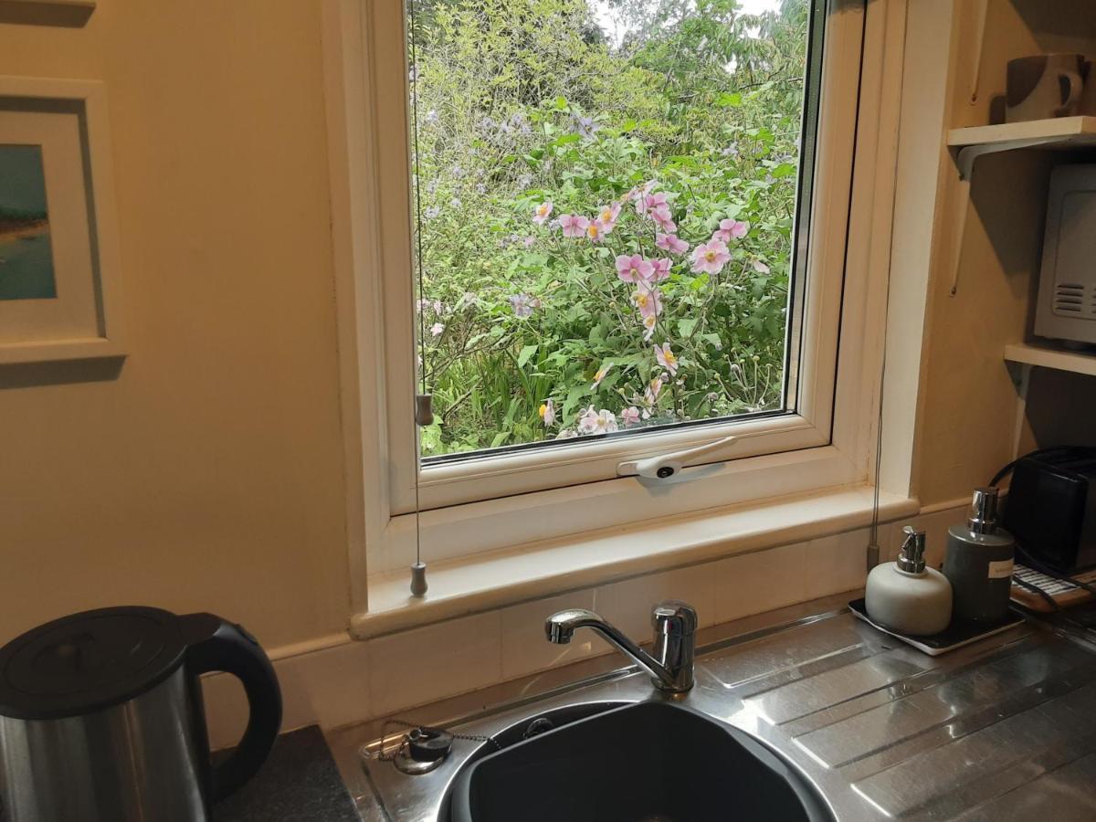 Tranquil Wood Cabin Set In A Beautiful Orchard Villa Penzance Exterior photo