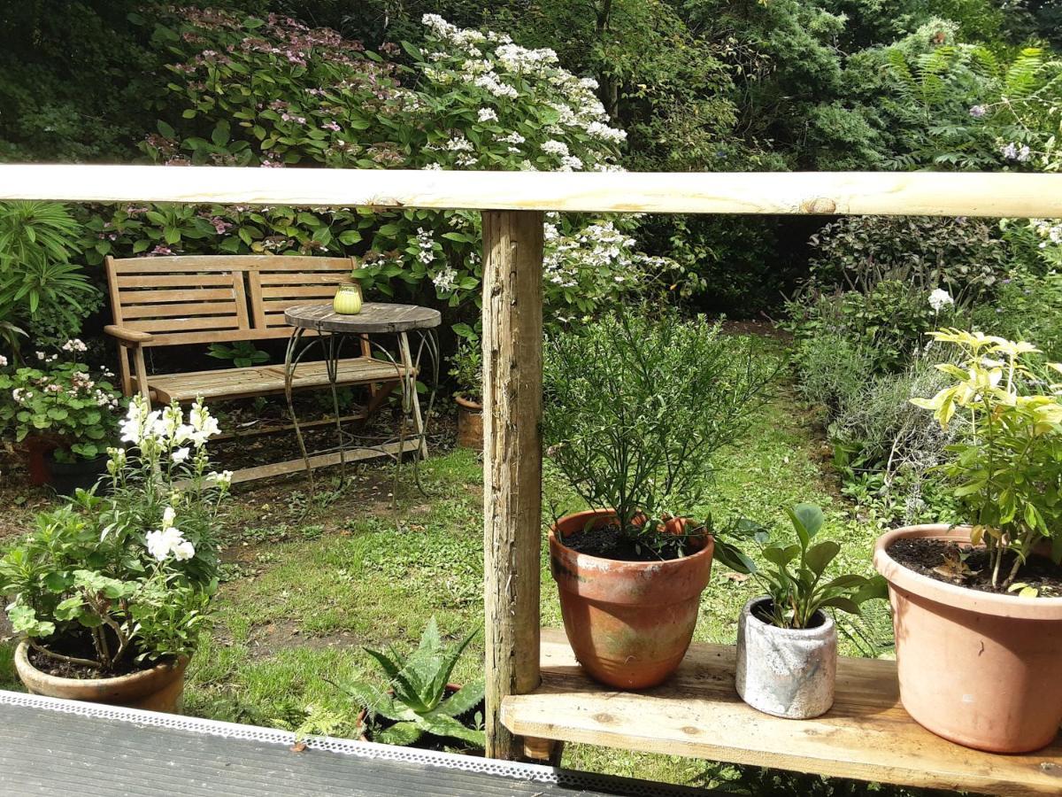 Tranquil Wood Cabin Set In A Beautiful Orchard Villa Penzance Exterior photo